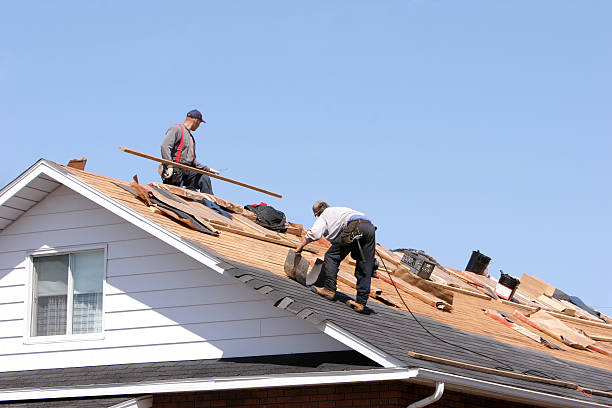 Best Roofing for New Construction  in Long Neck, DE